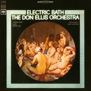 Electric bath